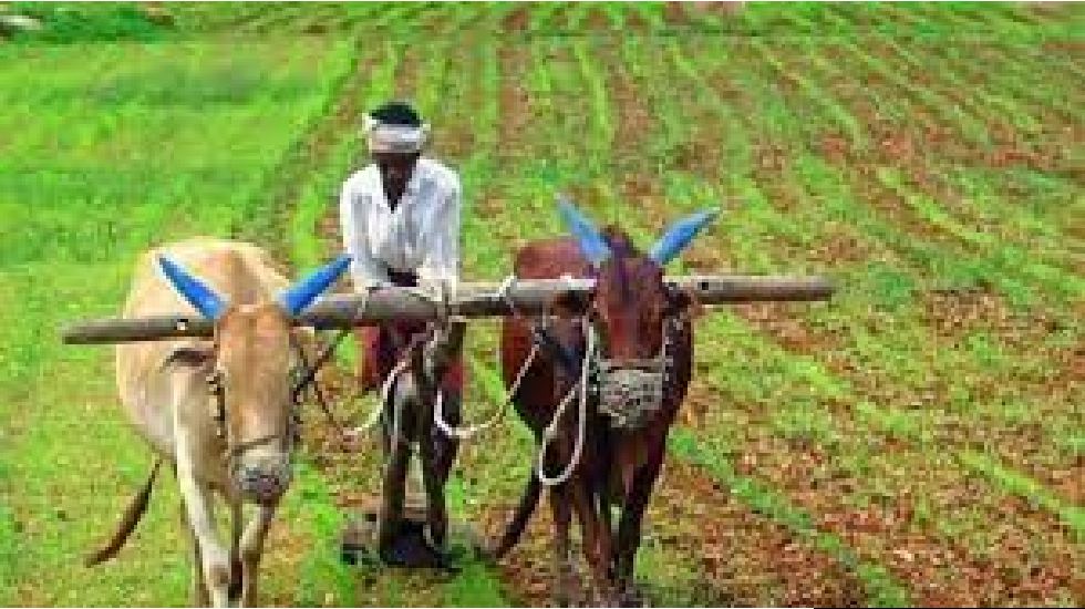 छत्तीसगढ़ के किसानों को इस योजना से मिलेगी ऋण से लेकर सभी जरू... - CG Sandesh