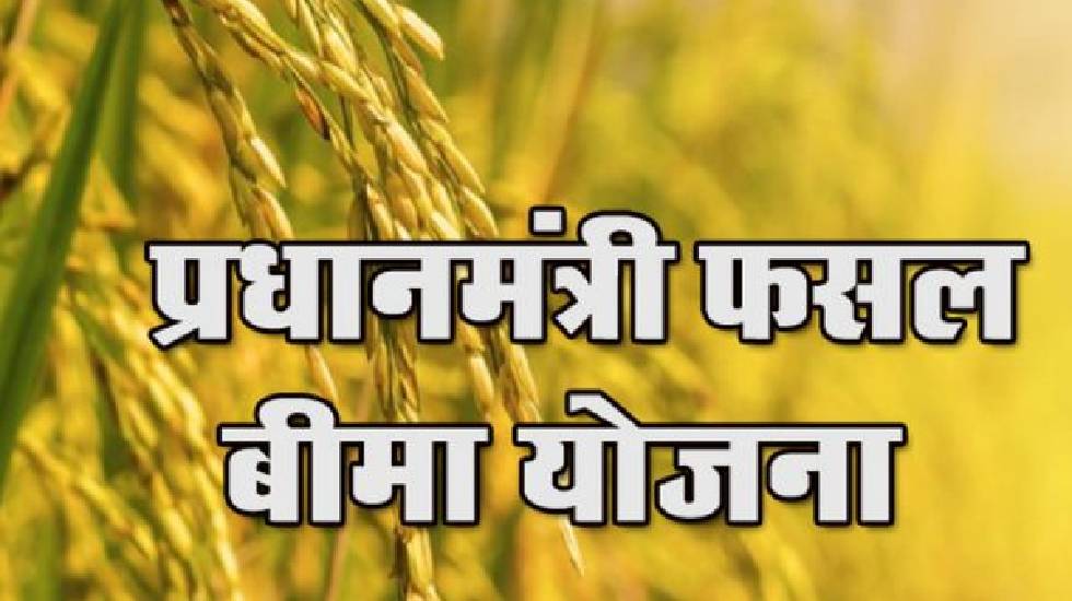 किसानों को प्राकृतिक आपदाओं से फसल नुकसान से मिलेगी राहत - CG Sandesh