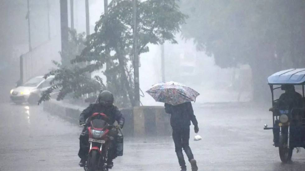 बसना में 749.2, सरायपाली में 543.0 मिमी औसत वर्षा दर्ज, पिथौ... - CG Sandesh