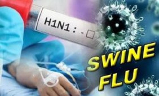 बिलासपुर में एक्टिव हैं स्वाइन फ्लू के नौ मरीज, स्वास्थ्य वि... - CG Sandesh