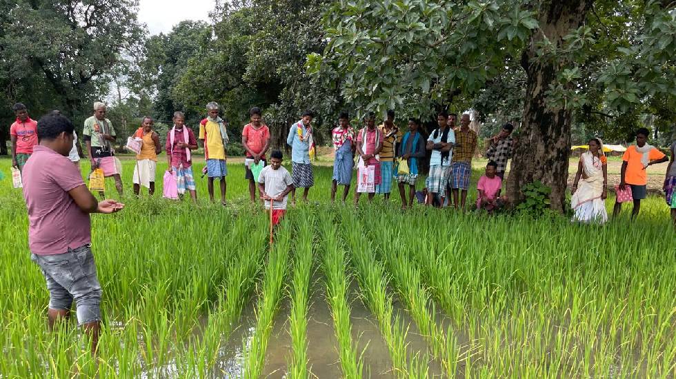 CG : जिला प्रशासन के मार्गदर्शन में कृषि विभाग की अभिनव पहल - CG Sandesh