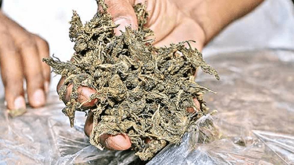 सरायपाली क्षेत्र के बलौदा पुलिस ने 22 सितम्बर को मुखबिर की स... - CG Sandesh