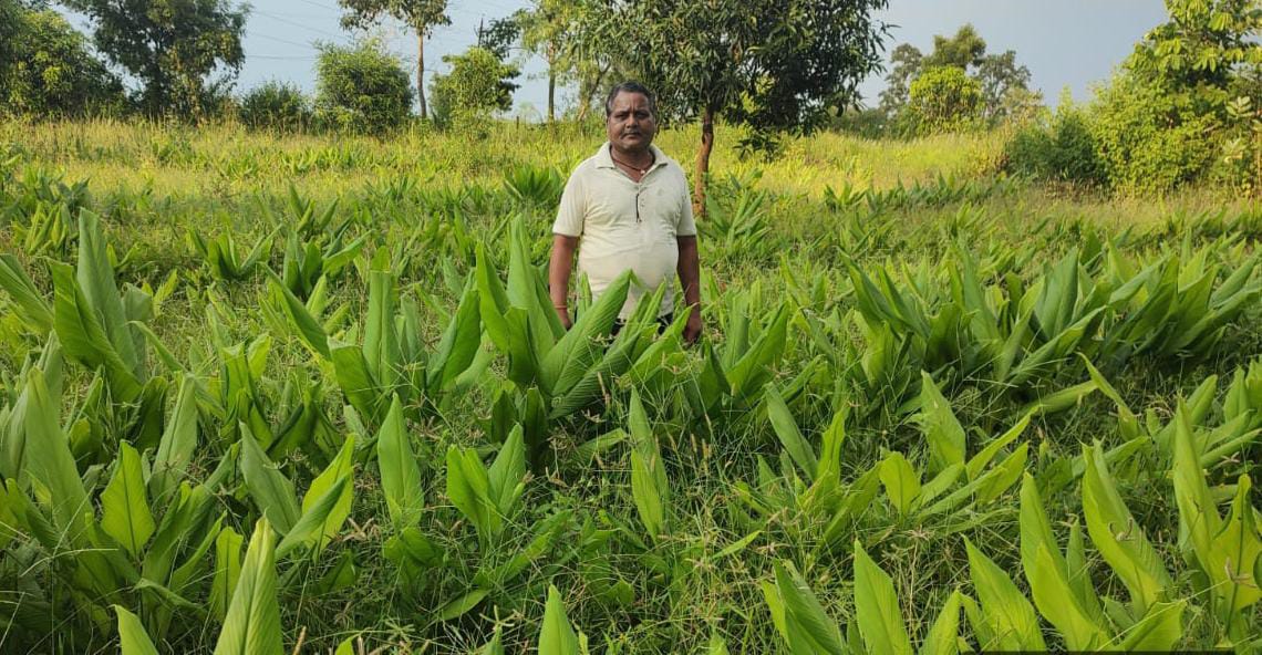 राष्ट्रीय बागवानी मिशन योजना का कृषक ले रहे हैं लाभ, किसान ह... - CG Sandesh