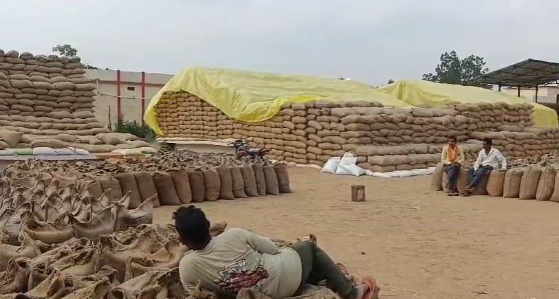 महासमुंद : धान खरीदी के बचे गिनती के 9 दिन, धान का उठाव हुआ ... - CG Sandesh