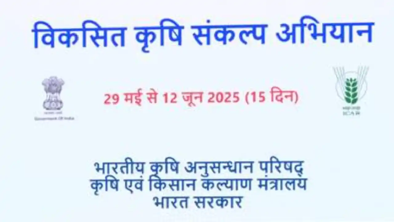 news-details