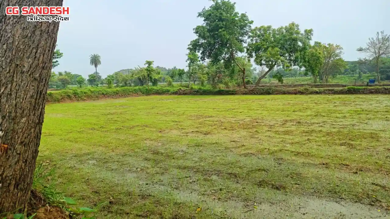 बसना : यूरिया की किल्लत से जूझ रहे बसना क्षेत्र के किसान, कृ... - CG Sandesh