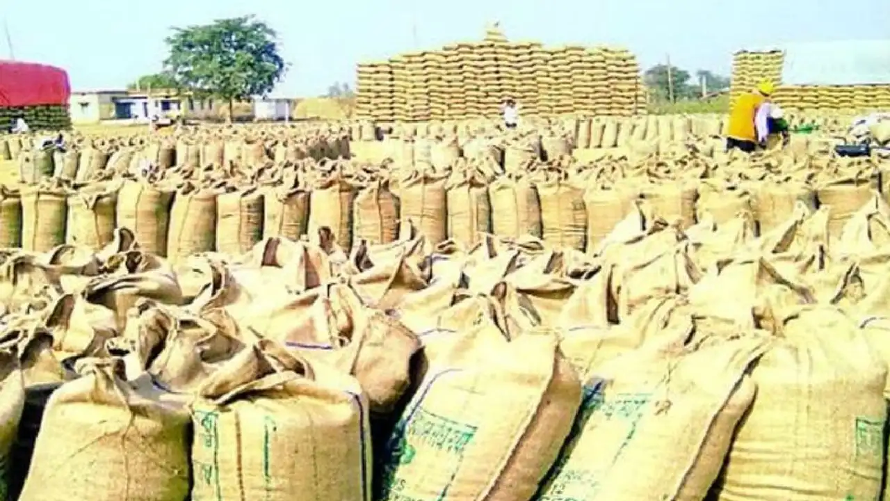 धान बेचने के लिए एग्रीस्टेक पोर्टल पर पंजीयन जरूरी