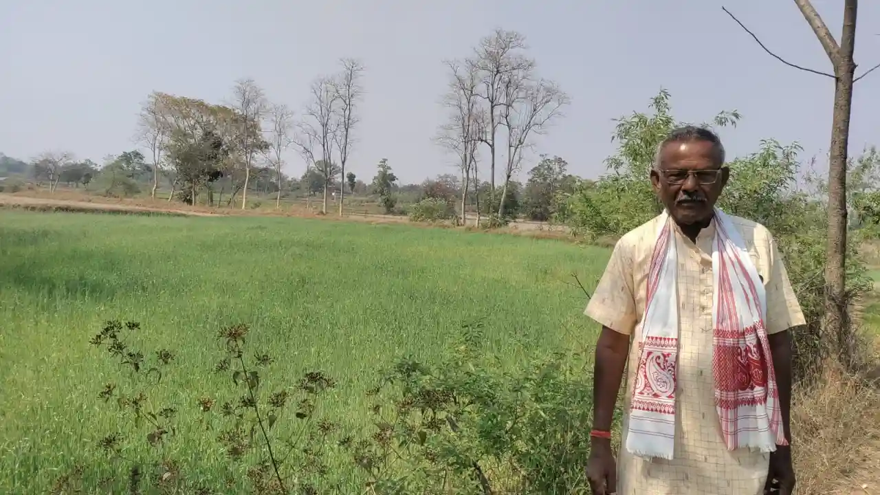 CG : कम लागत से गेहूं की फसल में किसानों को मिलेगा ज्यादा मुनाफा
