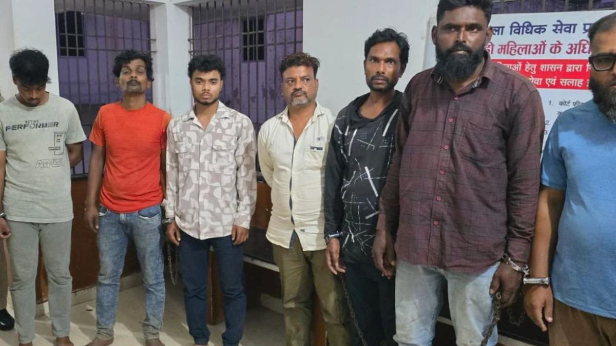  गौहत्या मामले में बड़े खुलासे, नागपुर से बुलाए जाते थे कसाई... - CG Sandesh