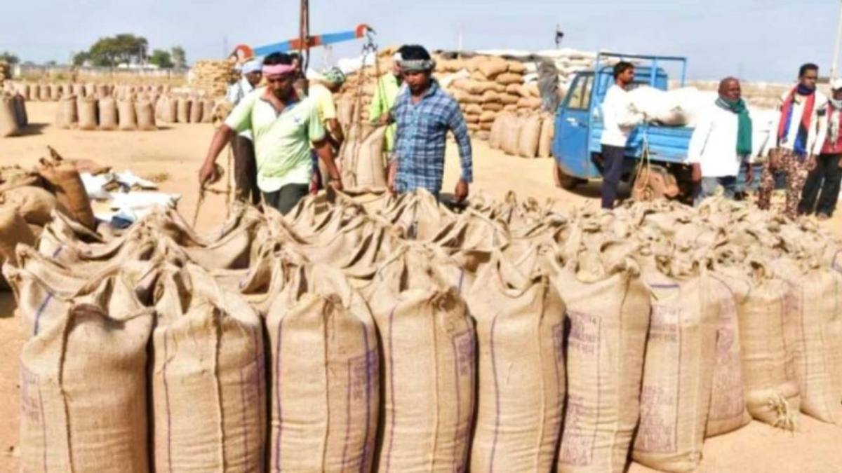 धान खरीदी से पहले किसानों को बड़ी राहत, सह खातेदारों के पंजी... - CG Sandesh