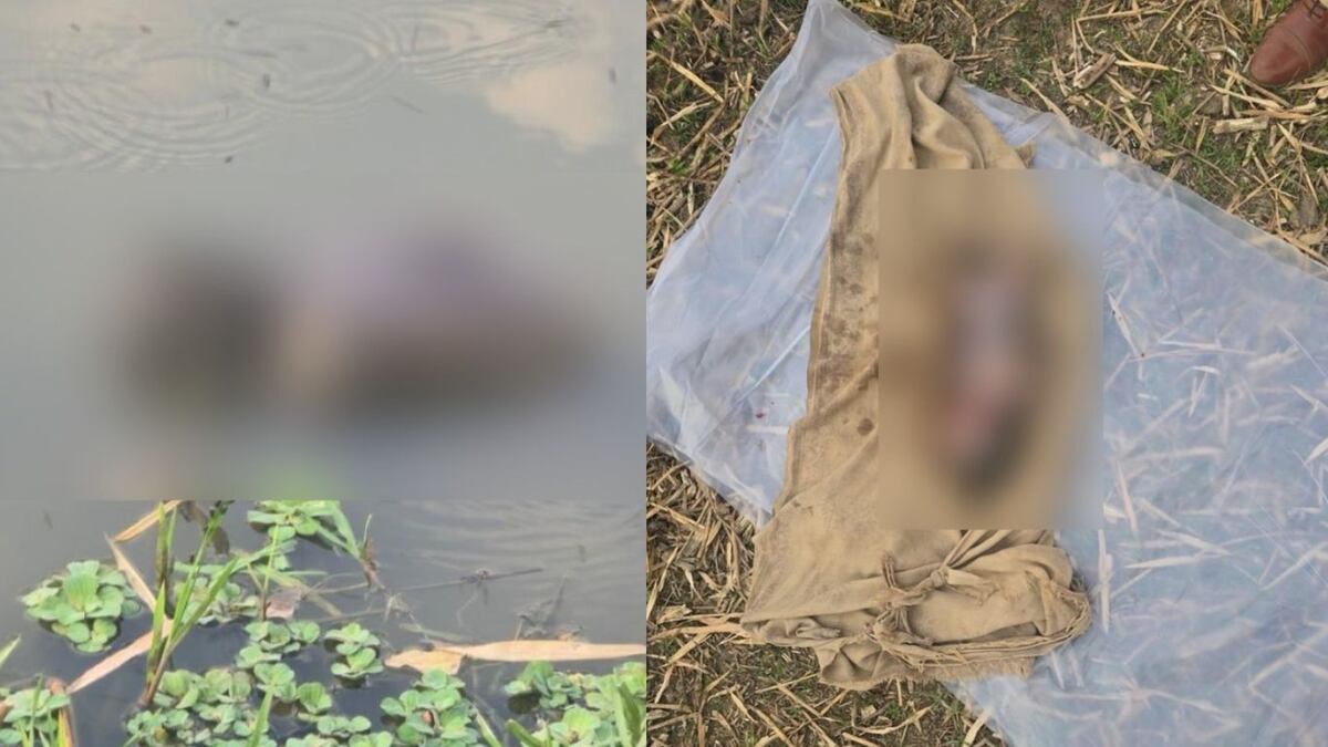 CG : 2 दिन की नवजात बच्ची को परिजनों ने तालाब में जिंदा फेंका, दम घुटने से मौत, केस दर्ज