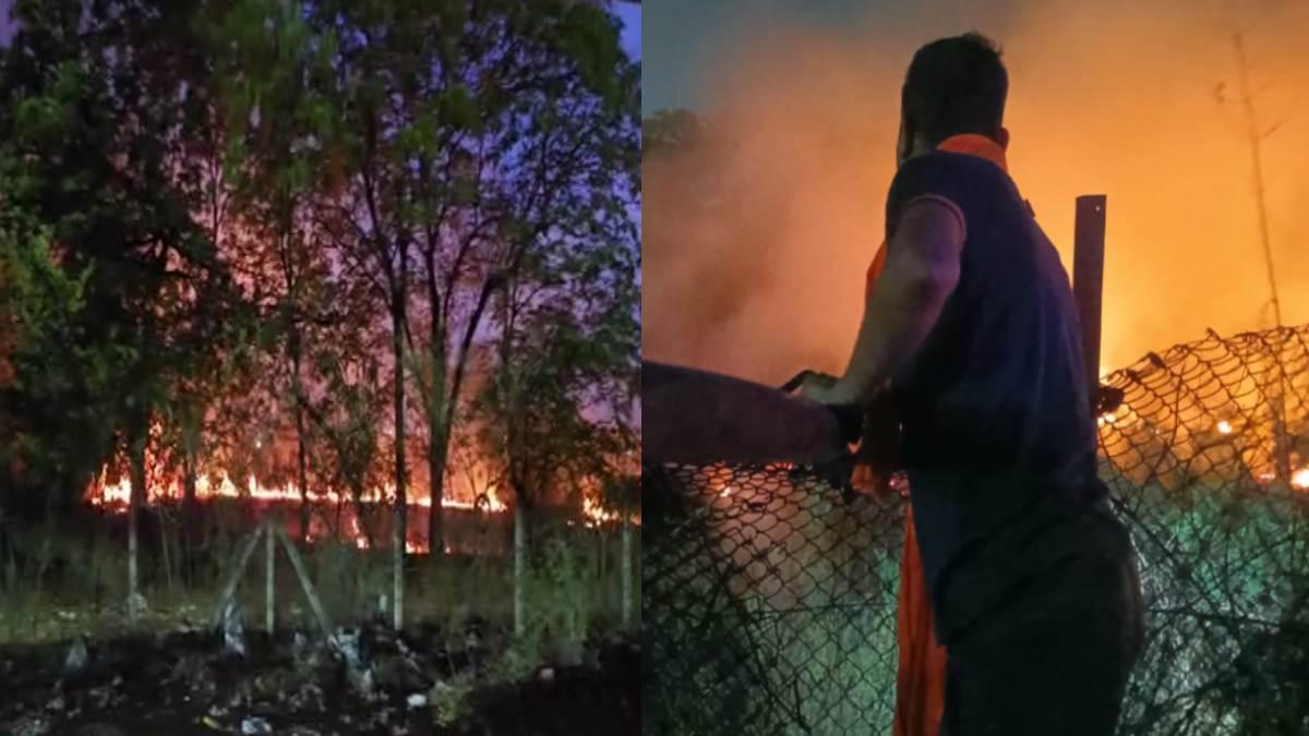 तालपुरी फॉरेस्ट नर्सरी में लगी भीषण आग, दमकल टीम ने समय रहते पाया काबू