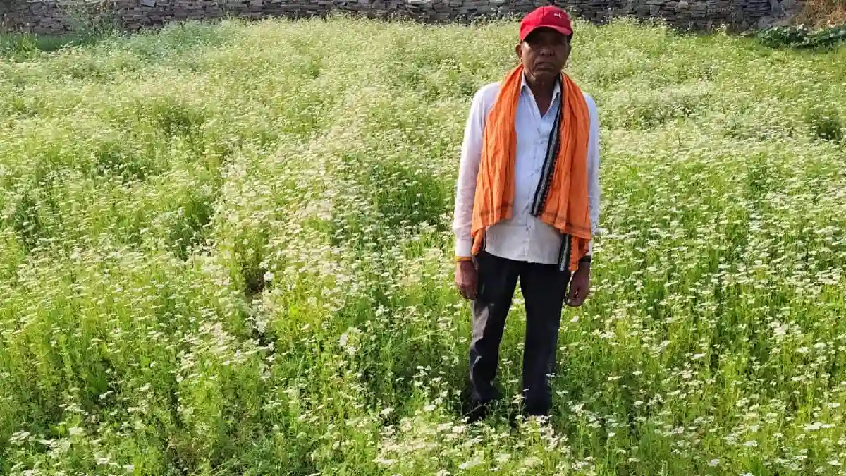 महासमुंद :  धनिया की खेती से किसान रतिराम की बढ़ी आय