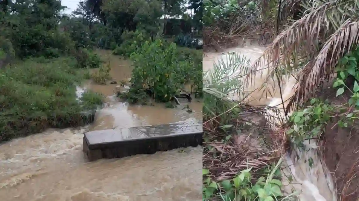 बसना : पर्रापाट के नहर का विभाग ने किया निरीक्षण