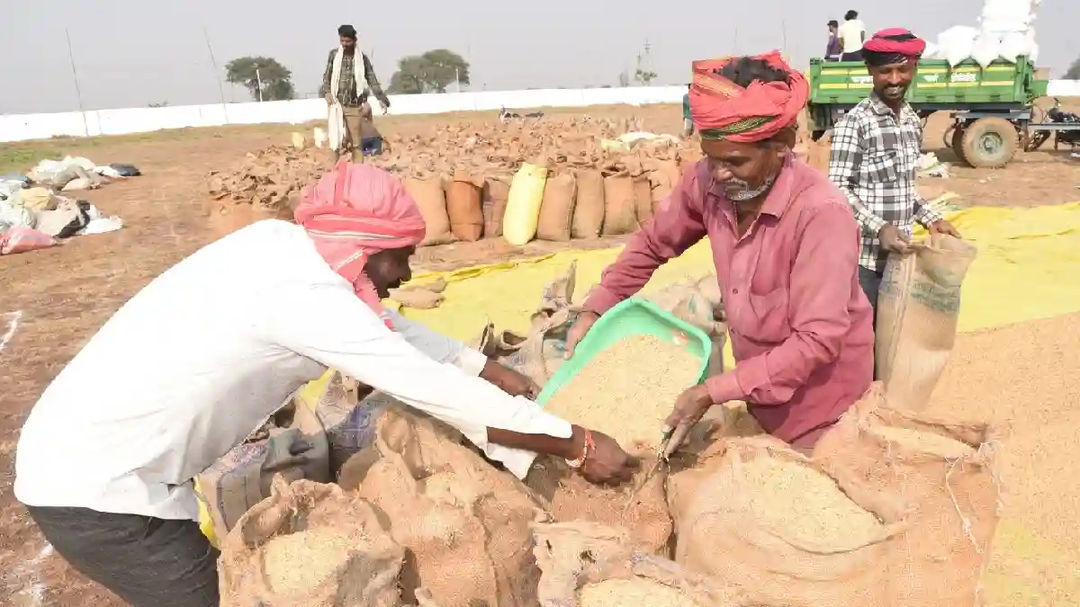 छत्तीसगढ़ के इन किसानों से धान नहीं खरीदेगी सरकार... नई व्यवस... - CG Sandesh
