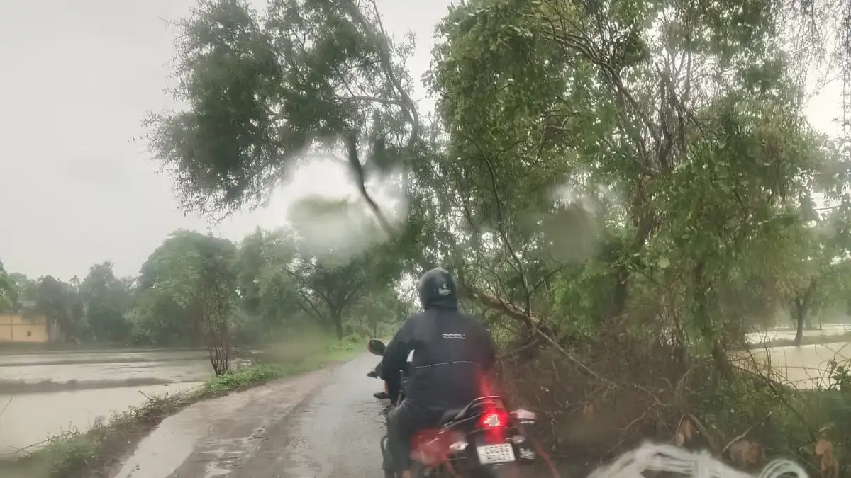 बसना : आंधी-तूफान में गिरे पेड़ और जर्जर साइड शोल्डर से राहगीर परेशान, PWD की कार्यशैली पर उठे सवाल