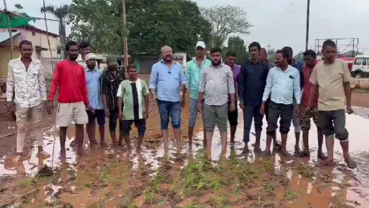 आवेदन के बाद भी नहीं सुधरी सड़क, गड्ढों में धान रोपकर युवा कांग्रेस ने जताया विरोध