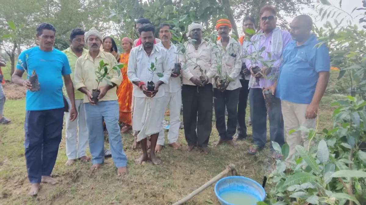 महासमुंद : जंगल बचा, तो जीवन संवरा : सामुदायिक वन अधिकार से ... - CG Sandesh