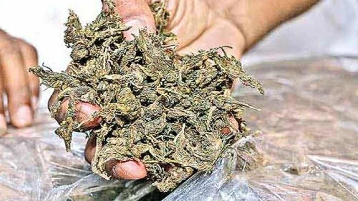 सिंघोड़ा : नाकाबंदी कर करीब 18 किलोग्राम गांजा जप्त, दो गिरफ्तार